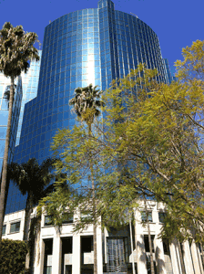 NEWtritious Offices